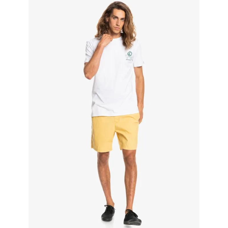 Quiksilver New World T-Shirt