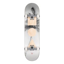 Globe G1 Skateboard Complete