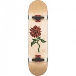 Globe G2 Skateboard Complete