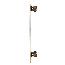 Arbor Fish 37" Longboard Complete
