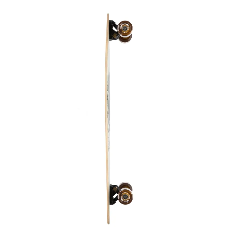 Arbor Fish 37" Longboard Complete