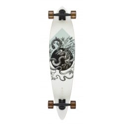 Arbor Fish 37" Longboard Complete