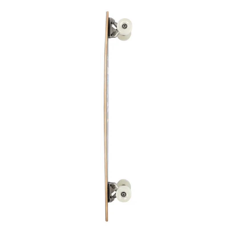 Arbor Fish 37" Longboard Complete