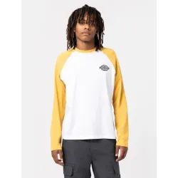 Dickies Longsleeve Cologne