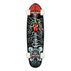 Riviera Anatomy Of A Skateboard - Complete