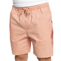 Quiksilver Taxer Ws Shorts