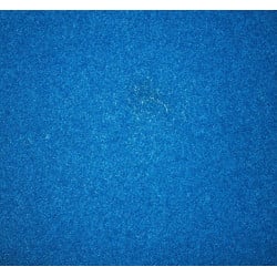 Blood Orange Griptape 11" - Neon Blue (per 10cm)