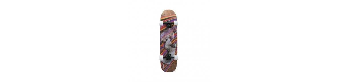 Hybrid | Longboard | Skateboard | Double Kick